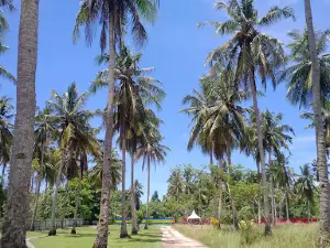Pantai Alinda
