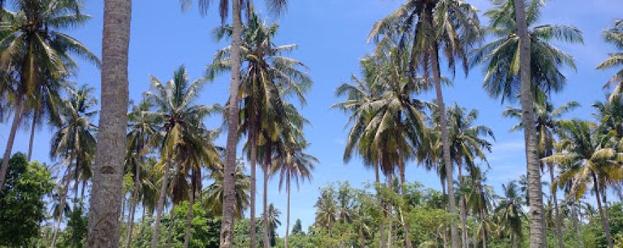 Pantai Alinda