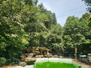 Hutan Wisata Mata Kucing dan Bonbin Mini