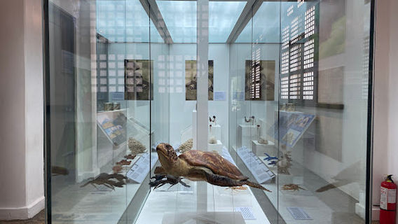 National Museum of the Philippines - Dumaguete