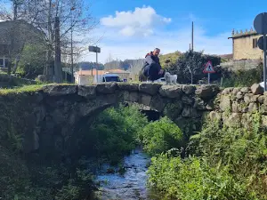 Monte Enfeitizado