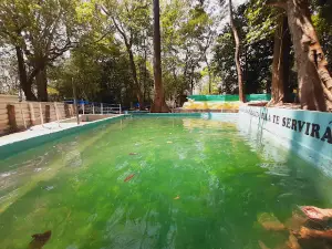 Balneario Aguas Termales La Estancia