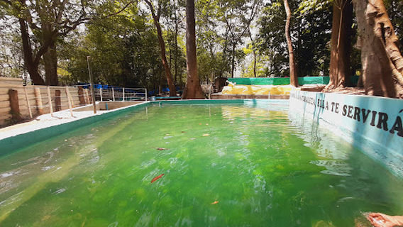 Balneario Aguas Termales La Estancia