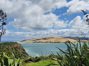 Arai te Uru Nature Reserve