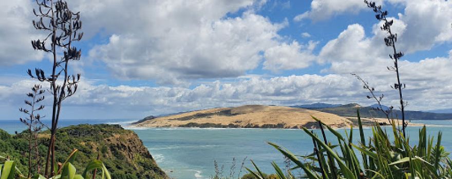 Arai te Uru Nature Reserve