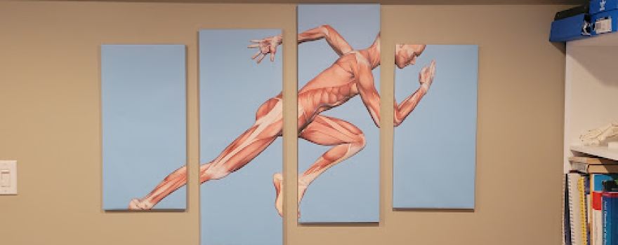 Foundation Biomechanics