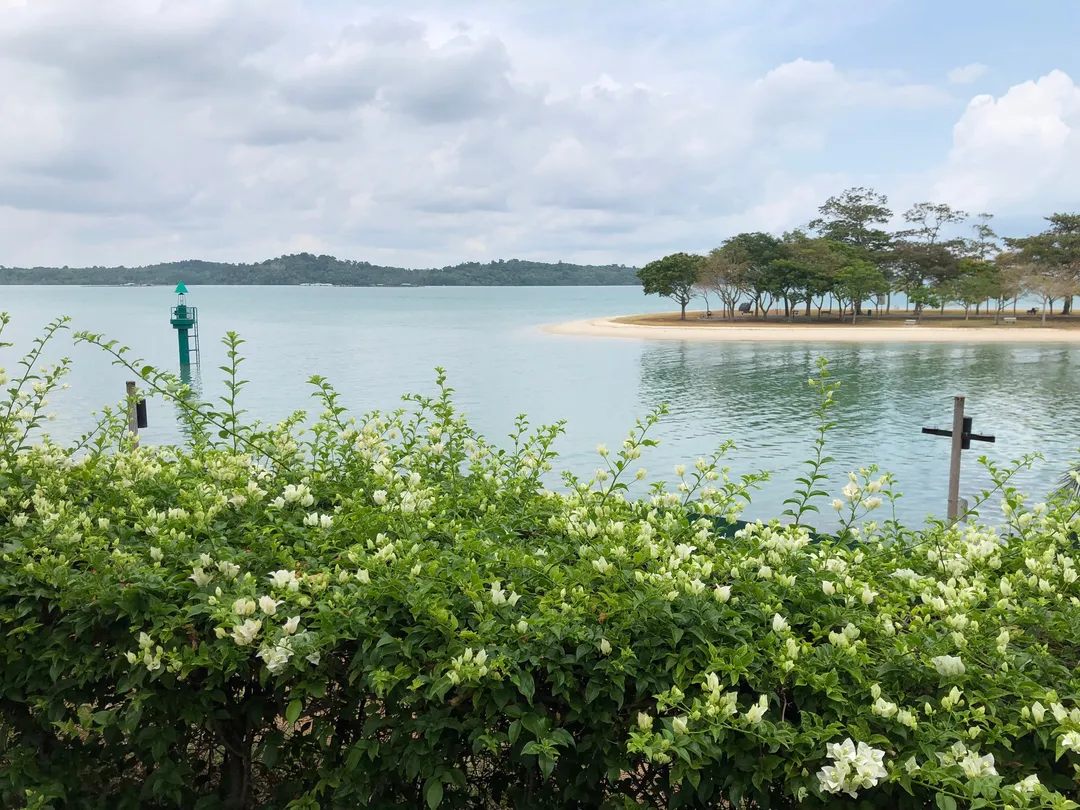 3_Changi Beach Park