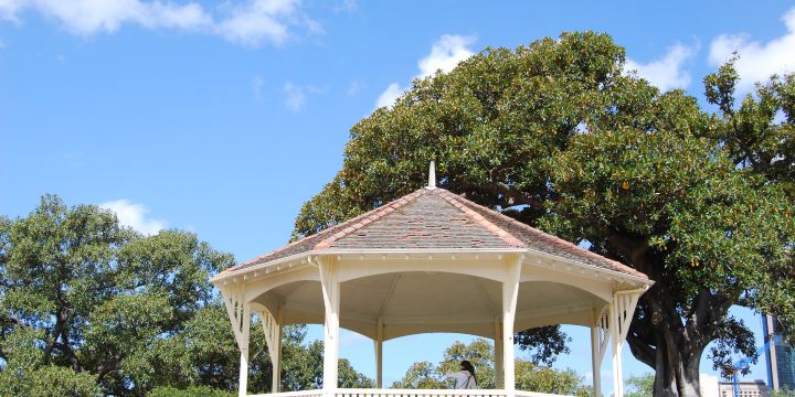 Observatory Hill