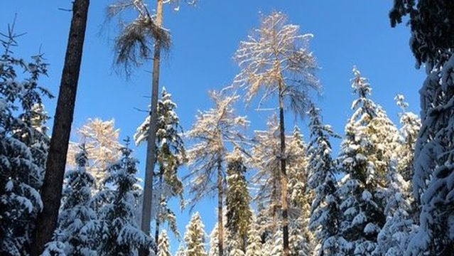 Gorczanski Park Narodowy