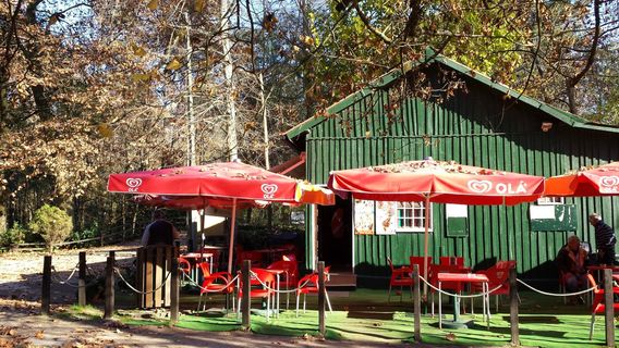 Choupal National Forest