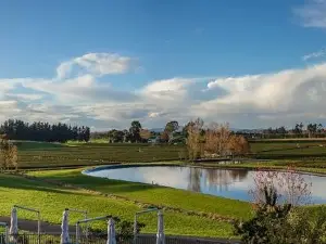 Zealong Tea Estate