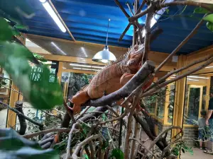 TerraZoo