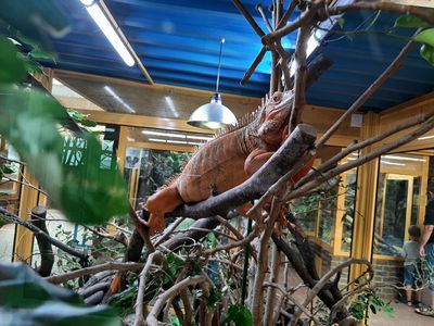 TerraZoo