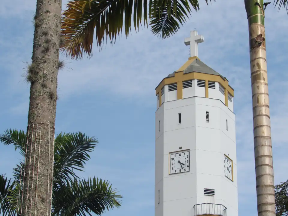3_Bolívar plaza, Pereira