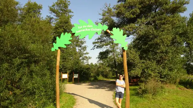 Ivenacker Eichen