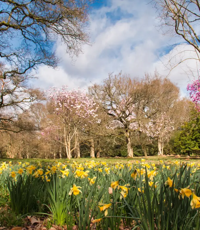 Godalming