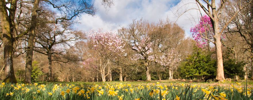 Godalming