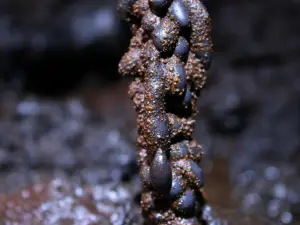 Gruta das Torres