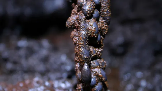 Gruta das Torres