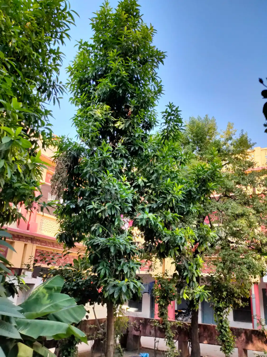 Hotel in zona Swarg Ashram