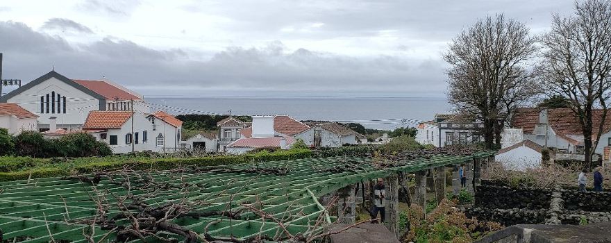 Wine Museum