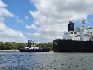 Gatun Lake