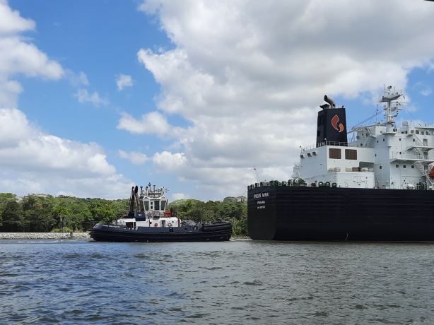 Gatun Lake