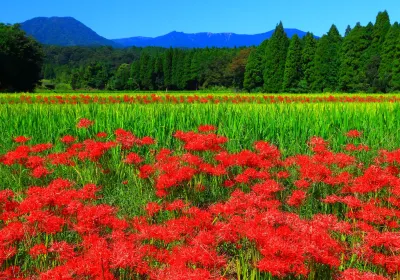Takaharu