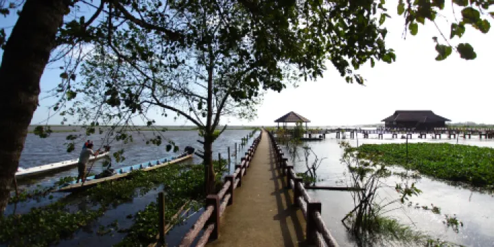 Thale Noi Waterbird Park