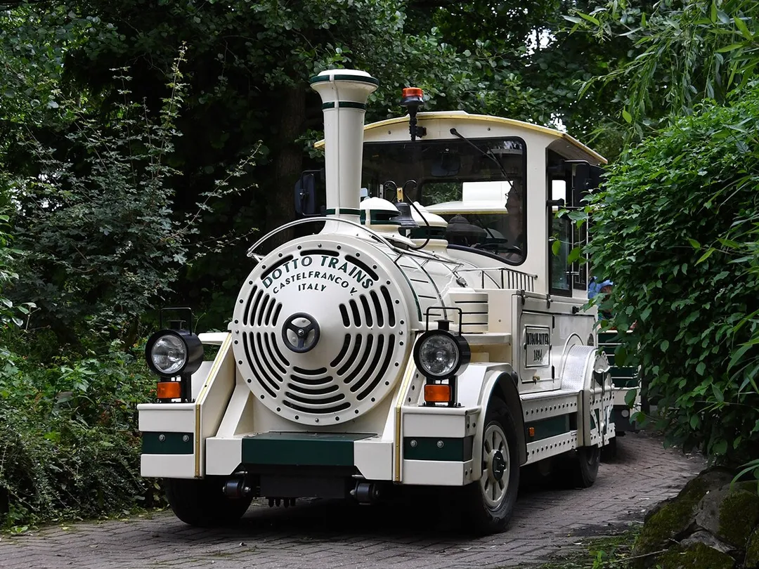 5_Colchester Zoo