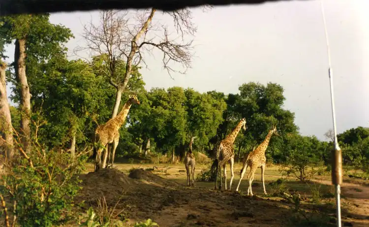 Hotels near Manovo-Gounda St Floris National Park