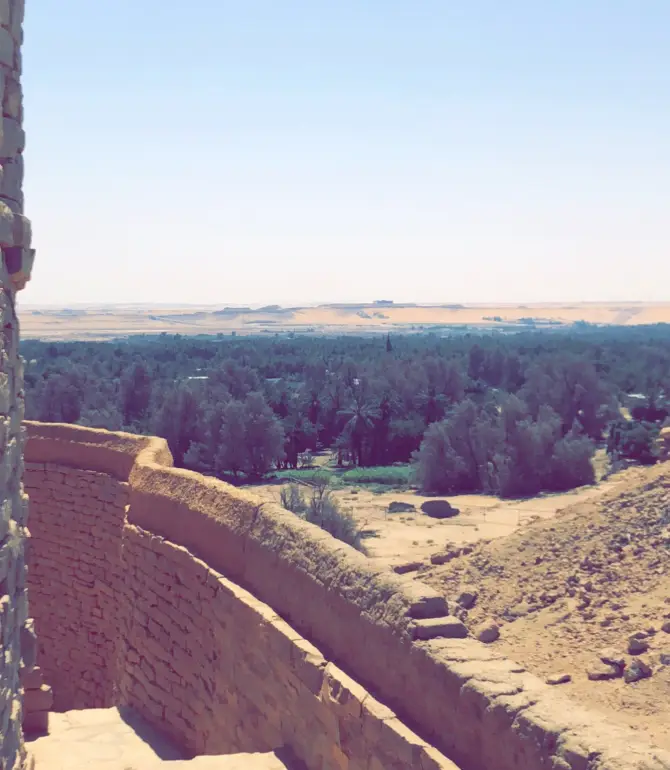 Dumah Al Jandal