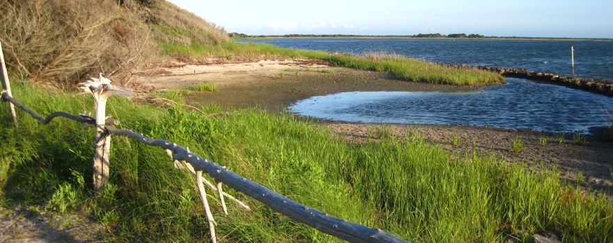 Springer's Point Preserve