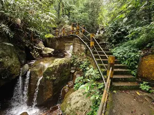 Double Decker Living Root Bridge Meghalaya