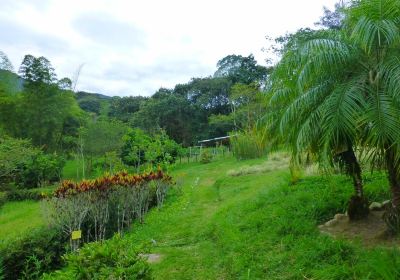 Jardin Botanico San Jorge