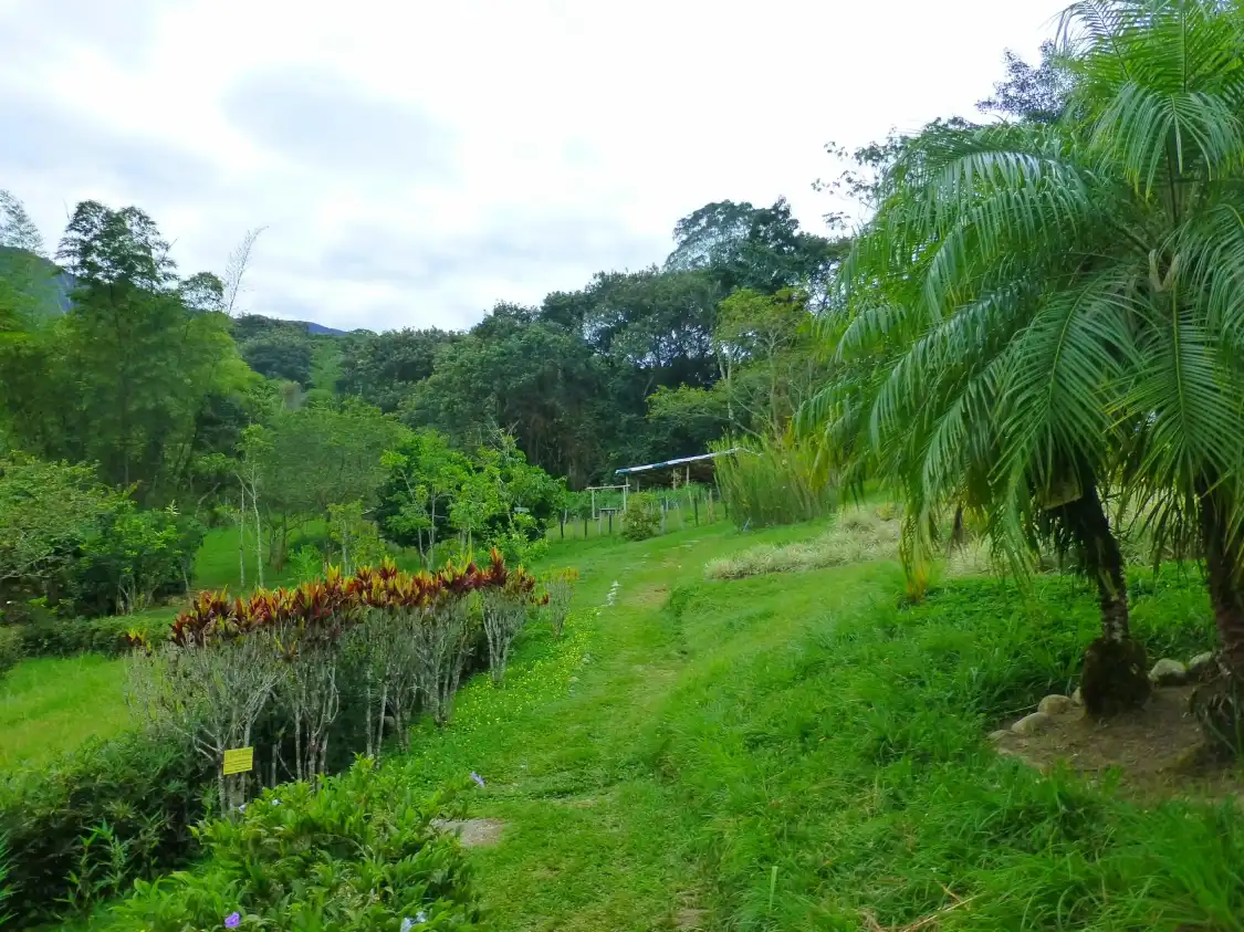 Hotels near Jardin Botanico San Jorge