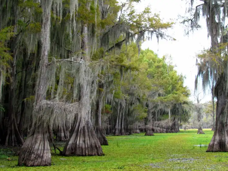 Các khách sạn ở Uncertain