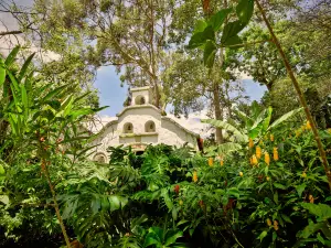 Hacienda Coloma