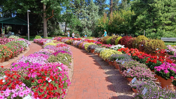 CSU Annual Flower Trial Gardens