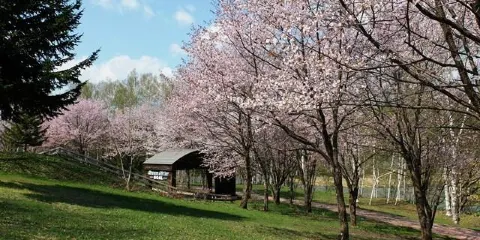東神樂森林公園