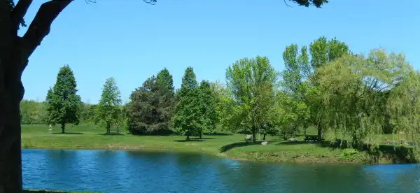 Rodeway Inn in Webster
