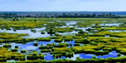 Réserve Naturelle de l'Etang de Cousseau