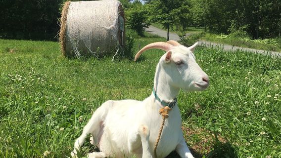 Sanai no Oka Observatory Park