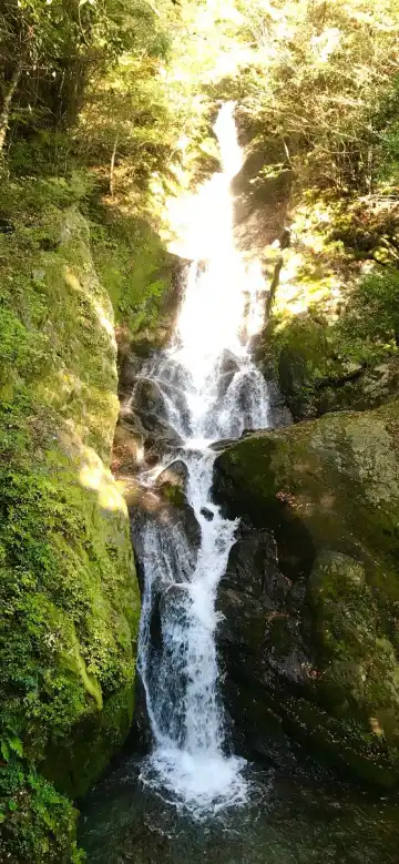 Hotels in Yatsushiro