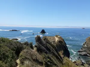 Luffenholtz Beach