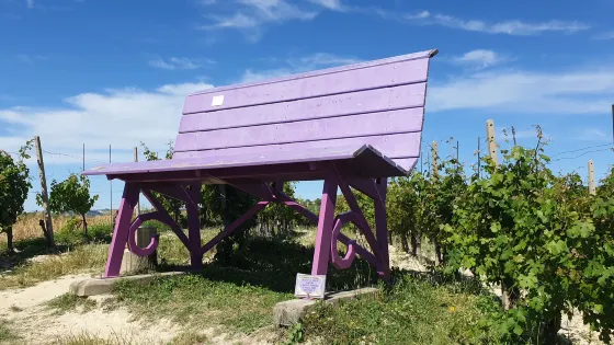 Panchina Viola di Chris Bangle