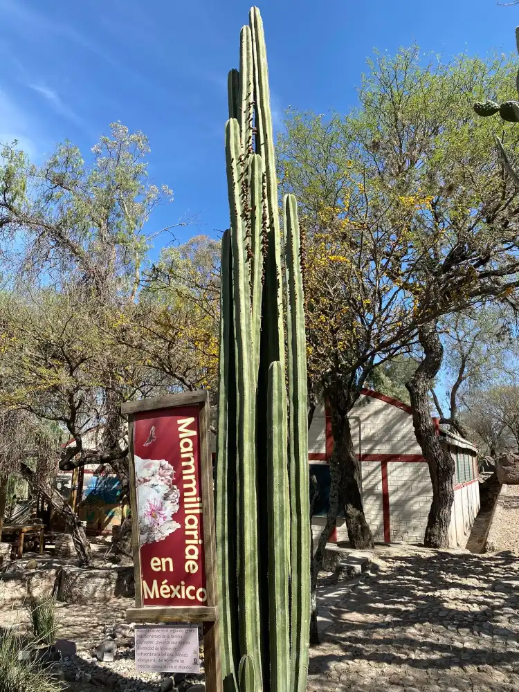 فنادق في Cadereyta de Montes