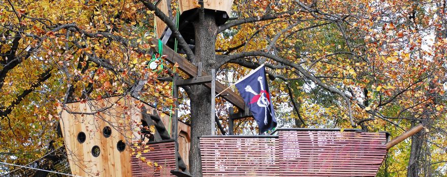Treehouse World