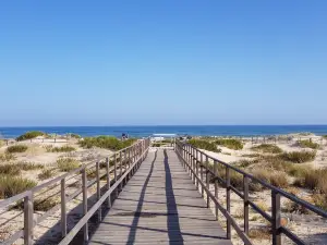 Praia da Alagoa