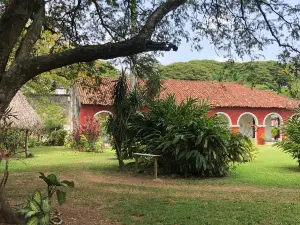 Hacienda Cacaotera La Luz